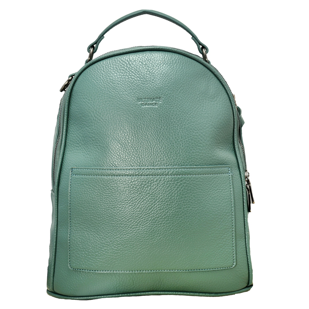 Large Shoe Bag/Backpack - Green
